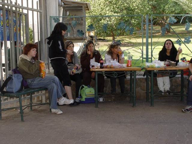 יושבים לנשנש משהו
