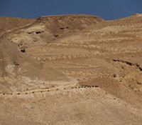 מדריך טיולים – נחל גוב ובמעלה עקרבים