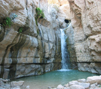 מדריך טיולים – עין גדי ונחל ערוגות