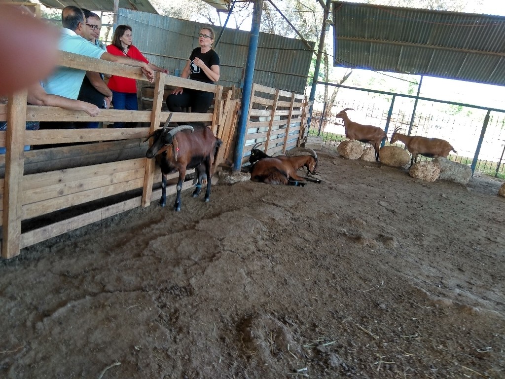 IMG_20170518_085233_HDR