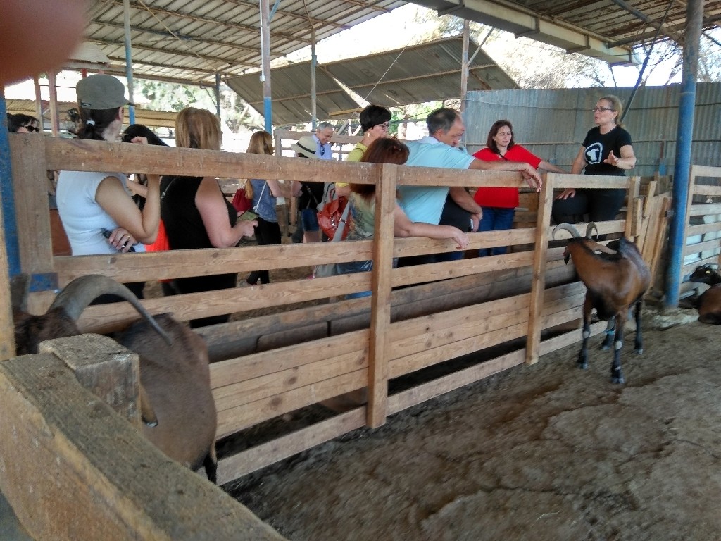 IMG_20170518_085237_HDR