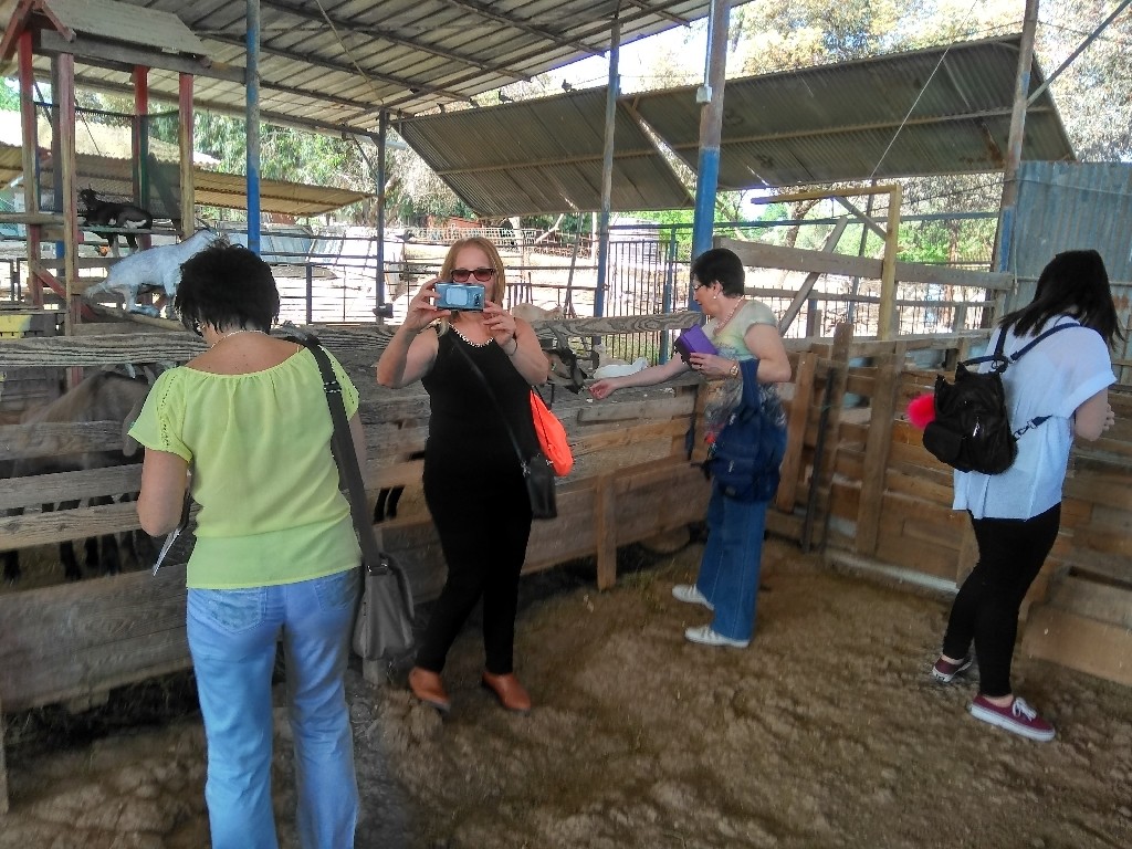 IMG_20170518_085259_HDR