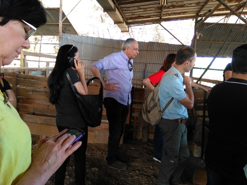 IMG_20170518_085312_HDR