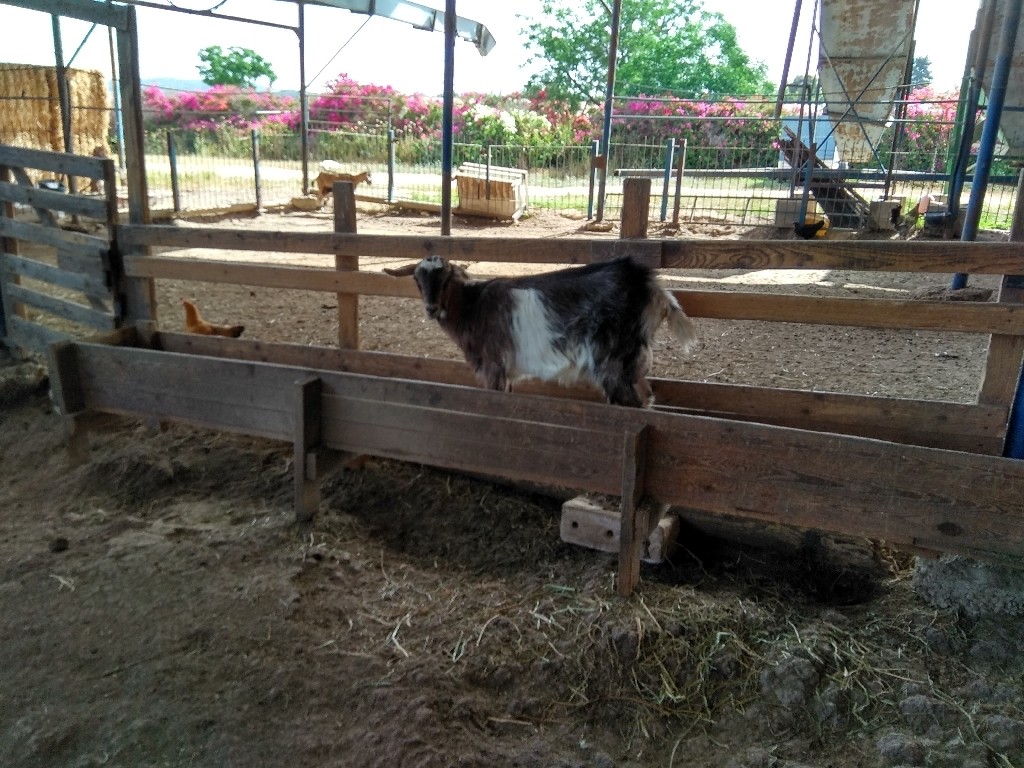 IMG_20170518_085429_HDR