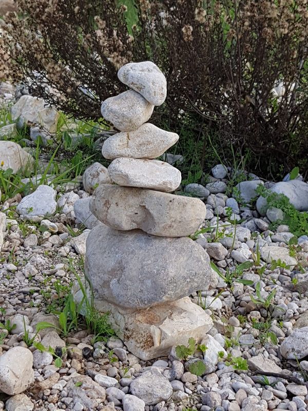 WhatsApp Image 2018-12-24 at 17.25.32 (1)