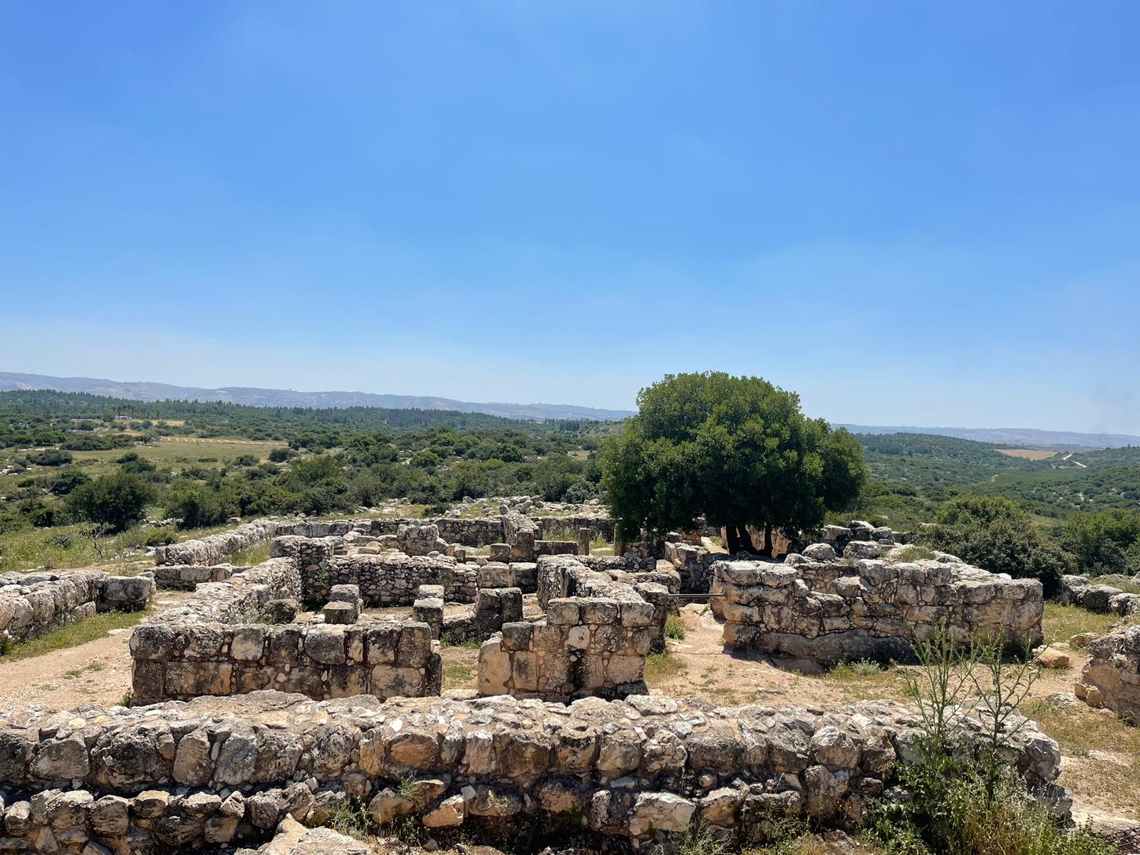 WhatsApp Image 2023-05-07 at 10.10.45 (3)