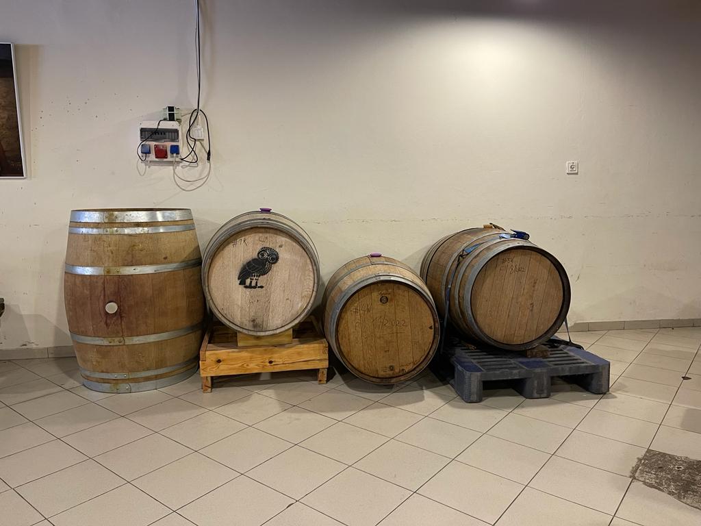 WhatsApp Image 2023-05-07 at 10.10.45