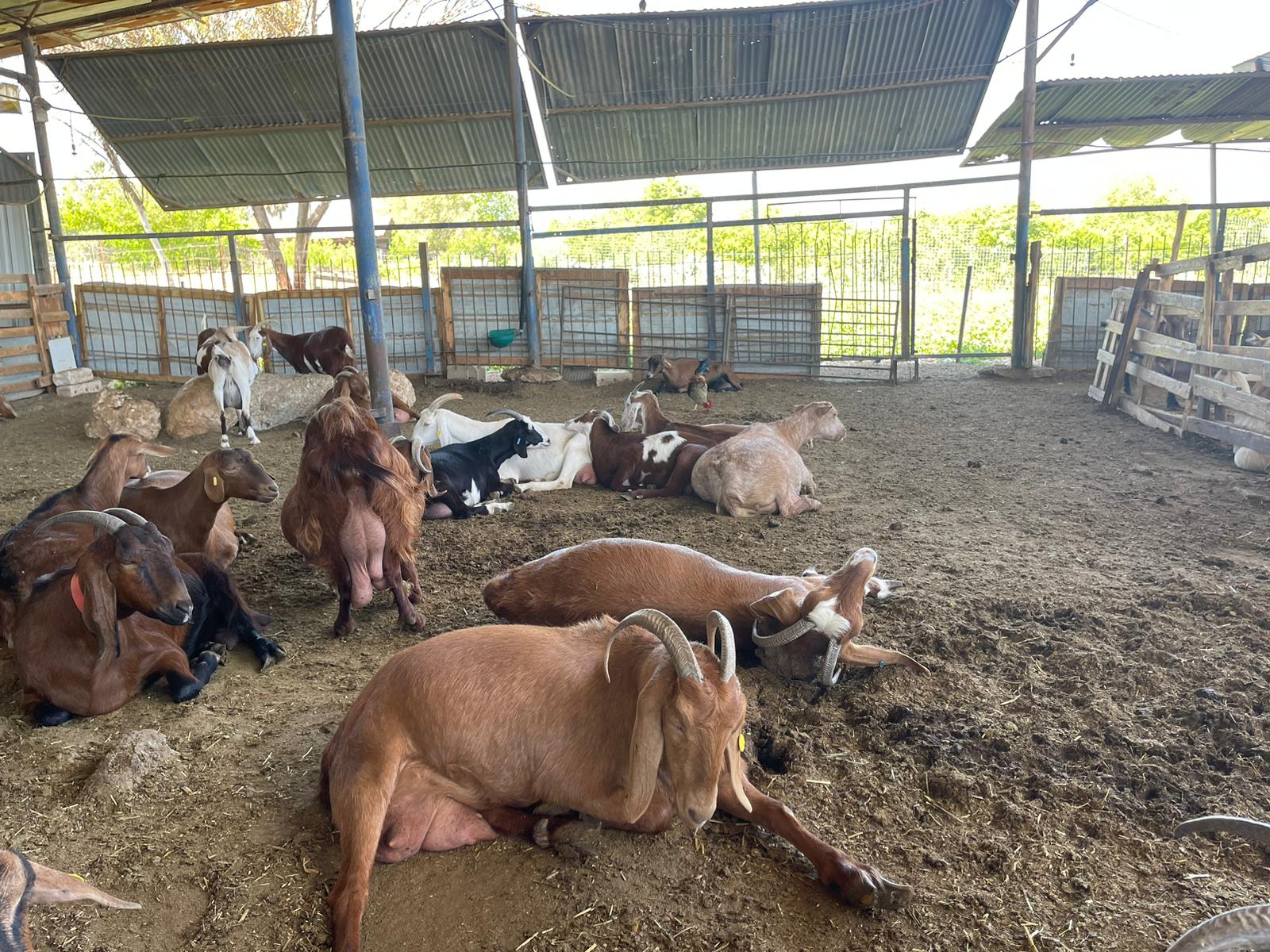 WhatsApp Image 2023-05-07 at 10.10.46